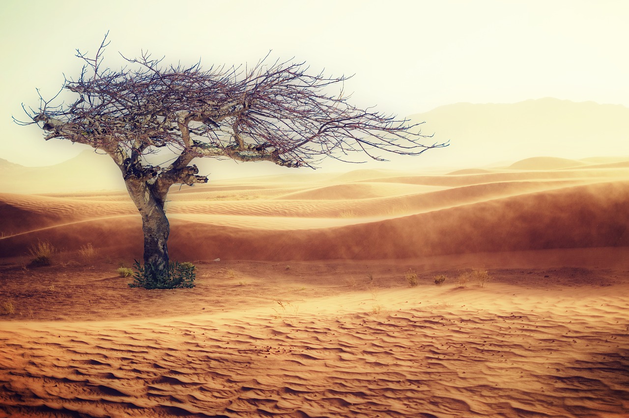 desert drought landscape free photo