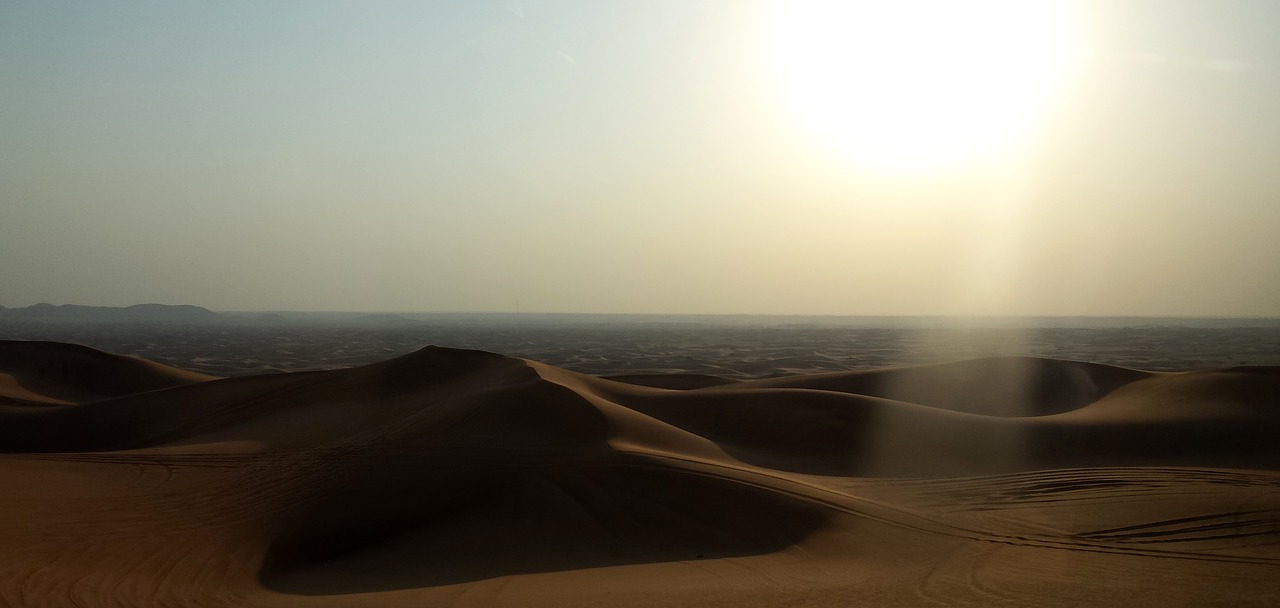desert emirates dubai free photo