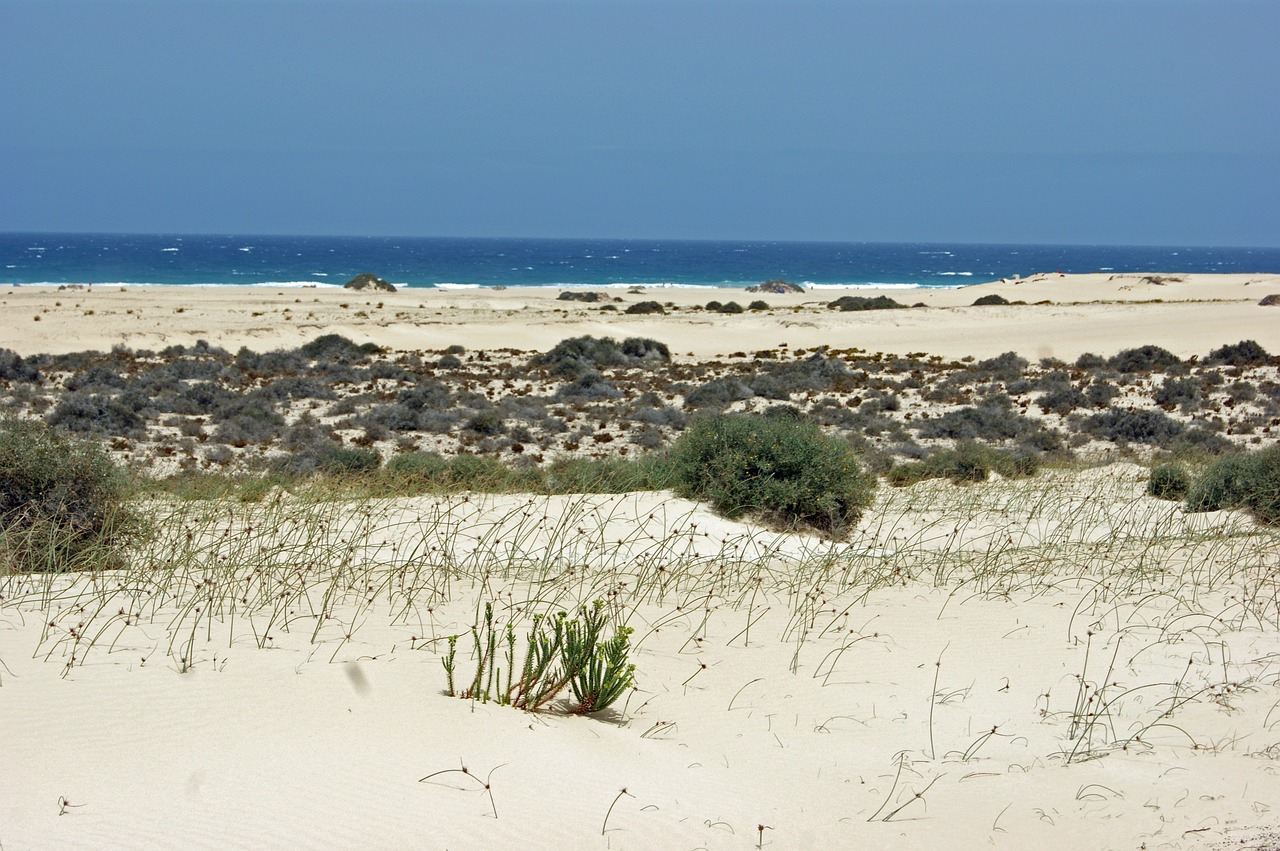 desert sand hot free photo