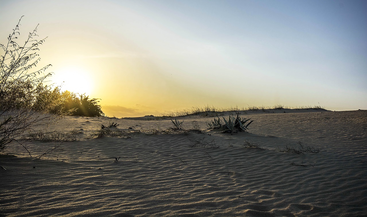 desert landscape travel free photo