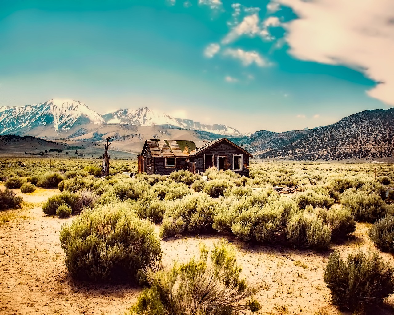 desert shack cabin free photo