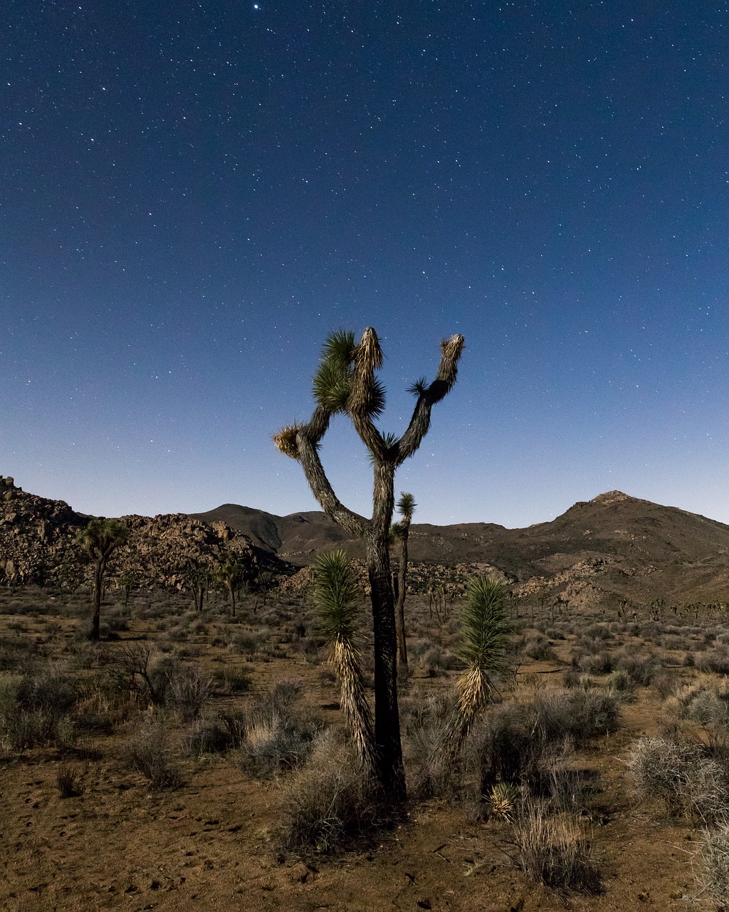 desert mountains view free photo