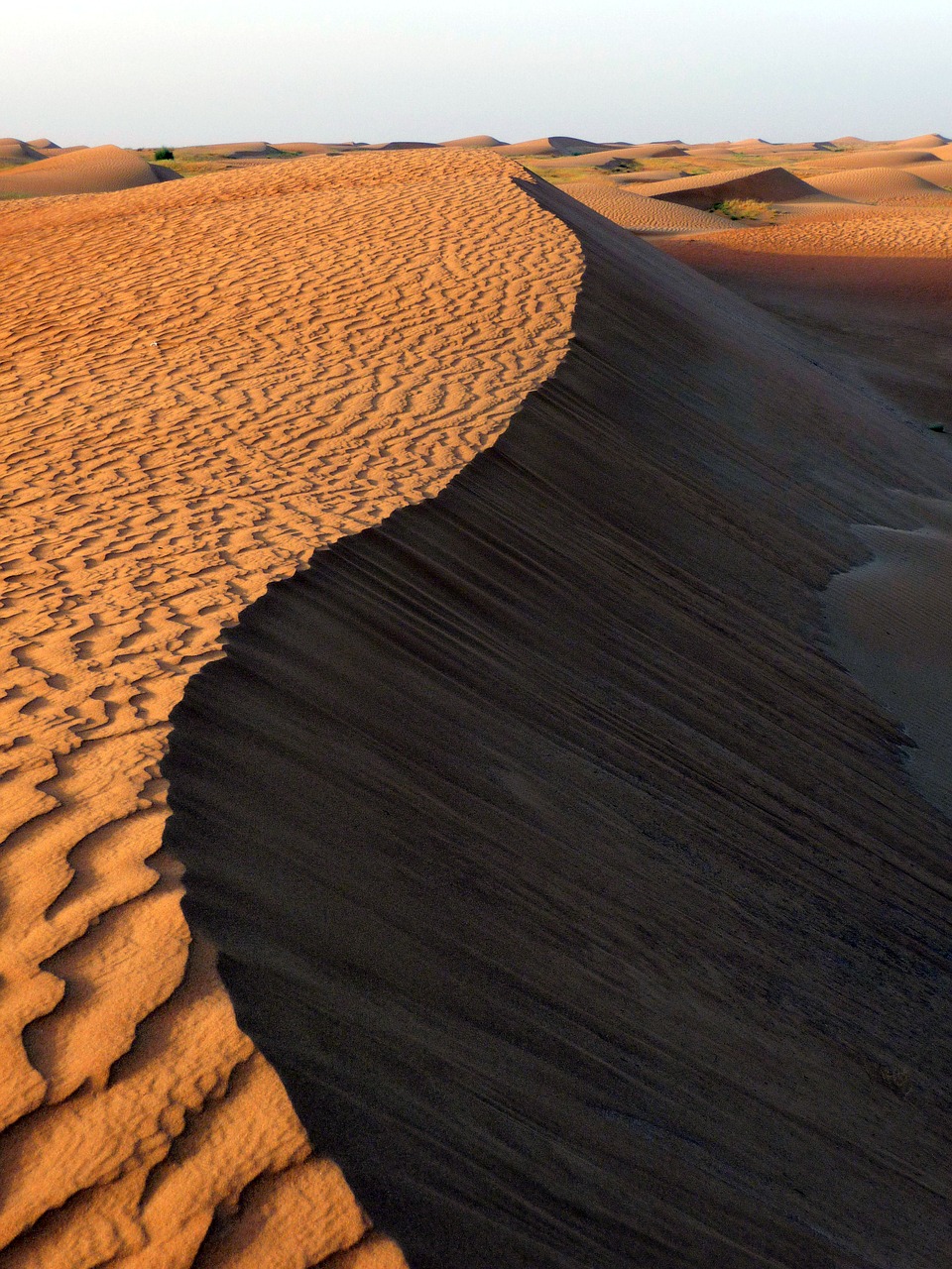 desert dune sand free photo