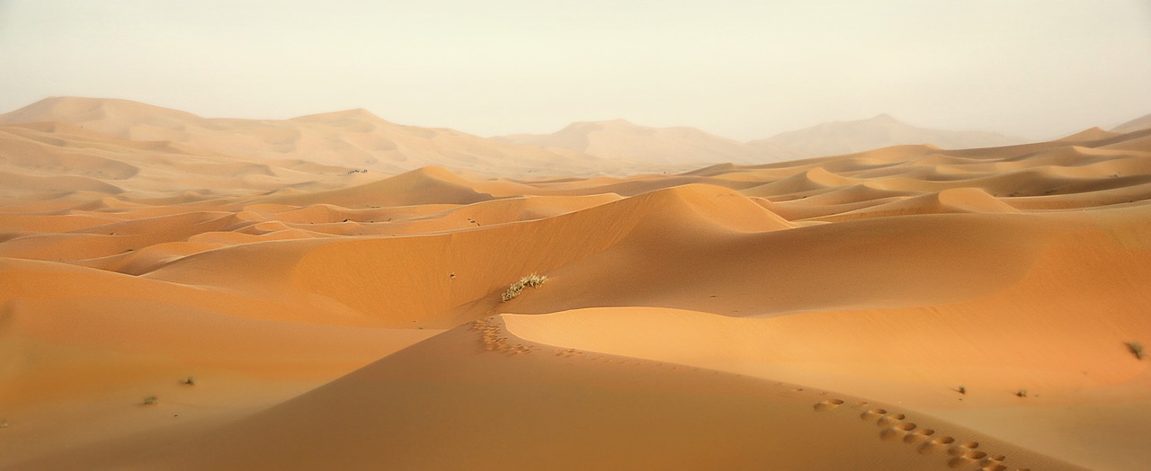 desert morocco dunes free photo