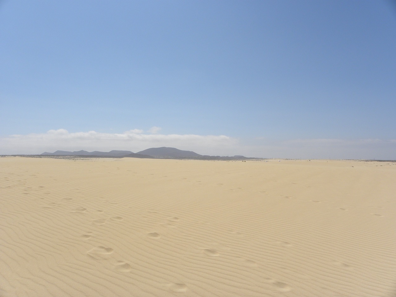 desert sand dunes free photo