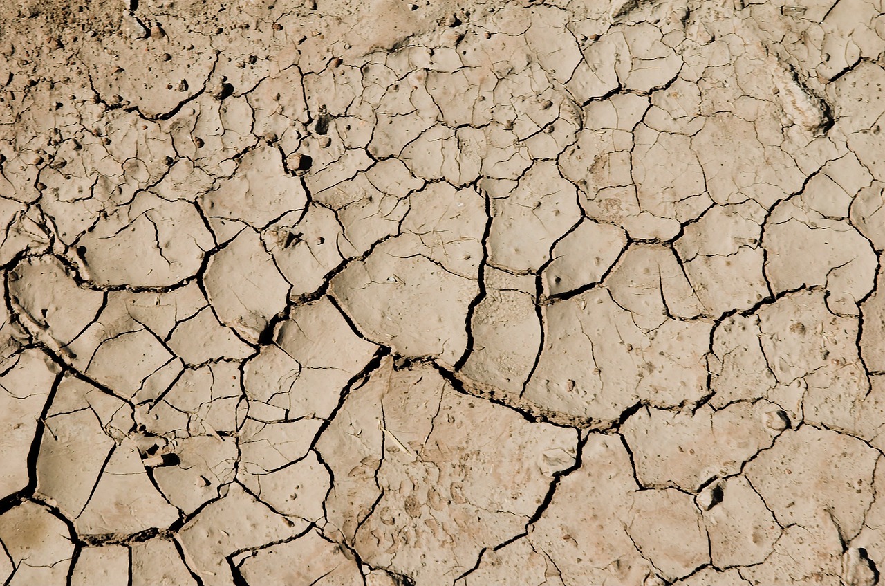 desert dry drought free photo