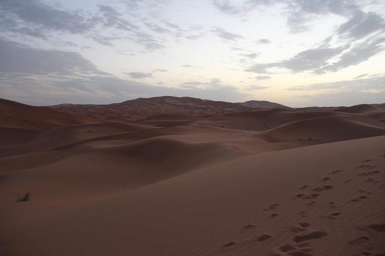 desert sahara moroccan free photo