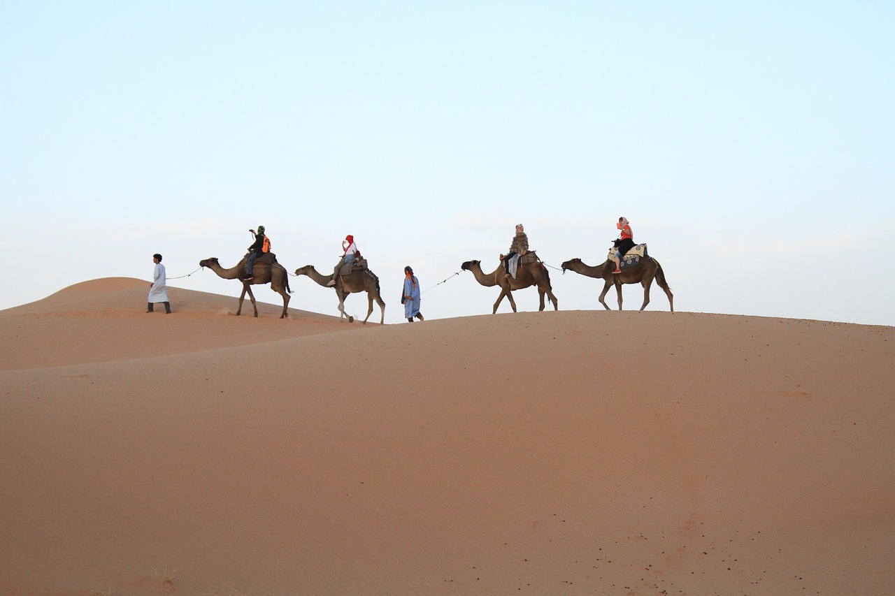 desert sahara moroccan free photo