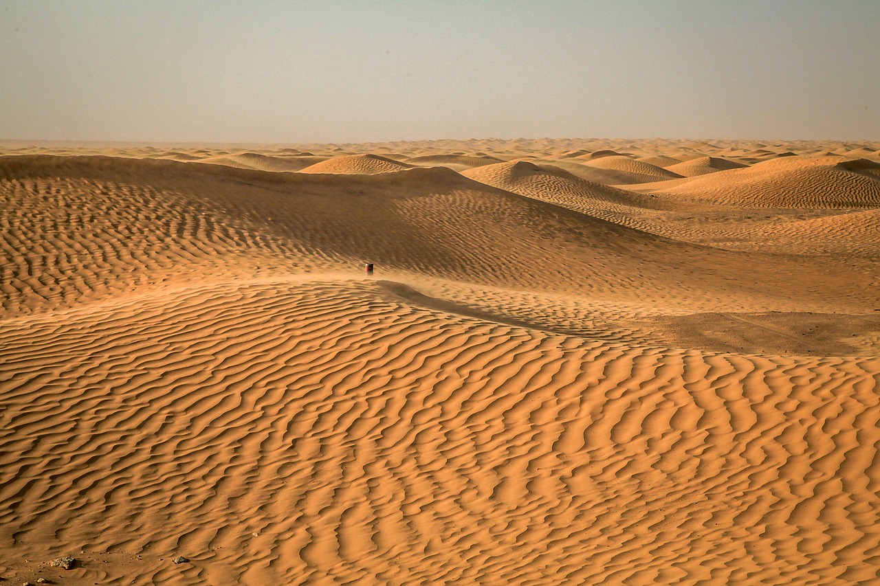 desert tunisia sahara free photo