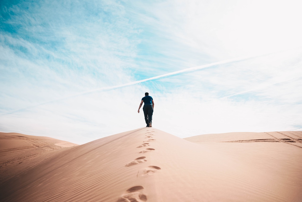 desert landscape sunny free photo