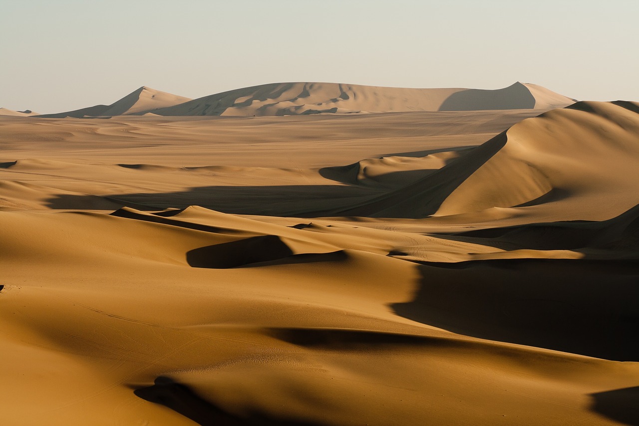 desert sunny day free photo