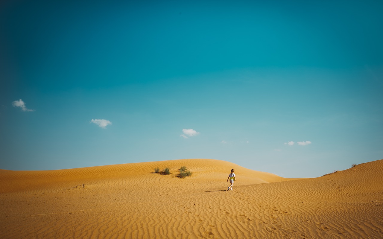 desert landscape sunny free photo