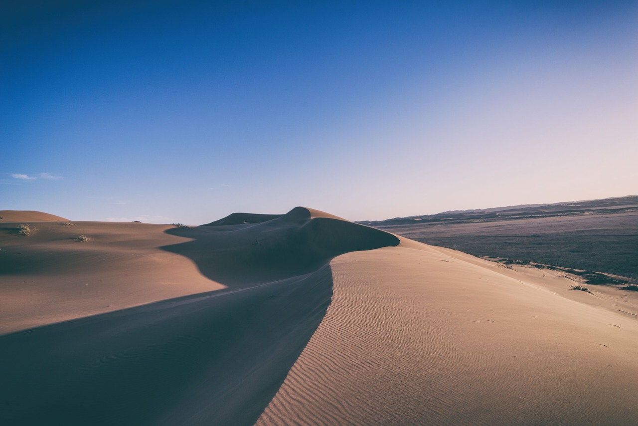 desert landscape sunny free photo