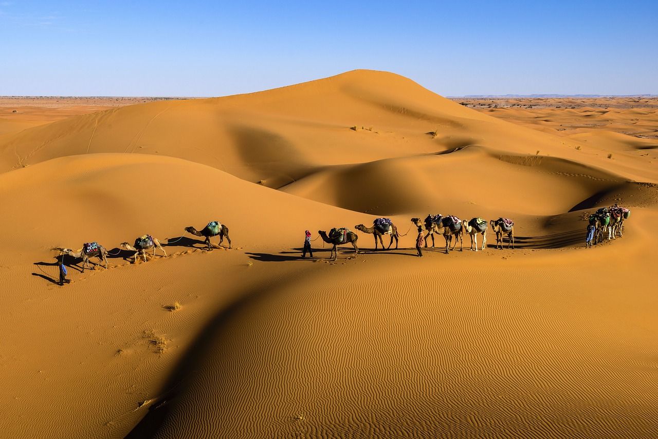 desert landscape sunny free photo