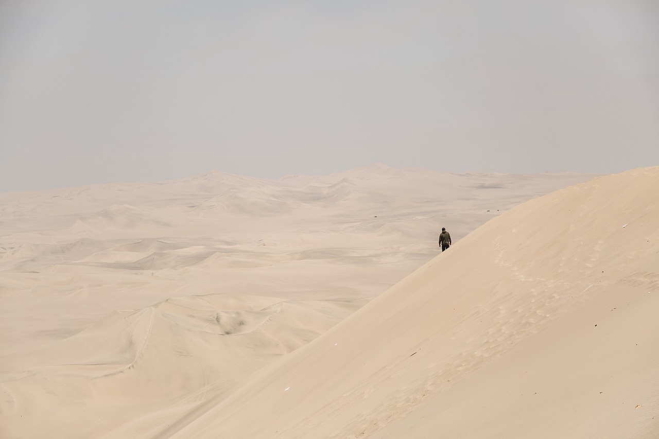 desert sand man free photo