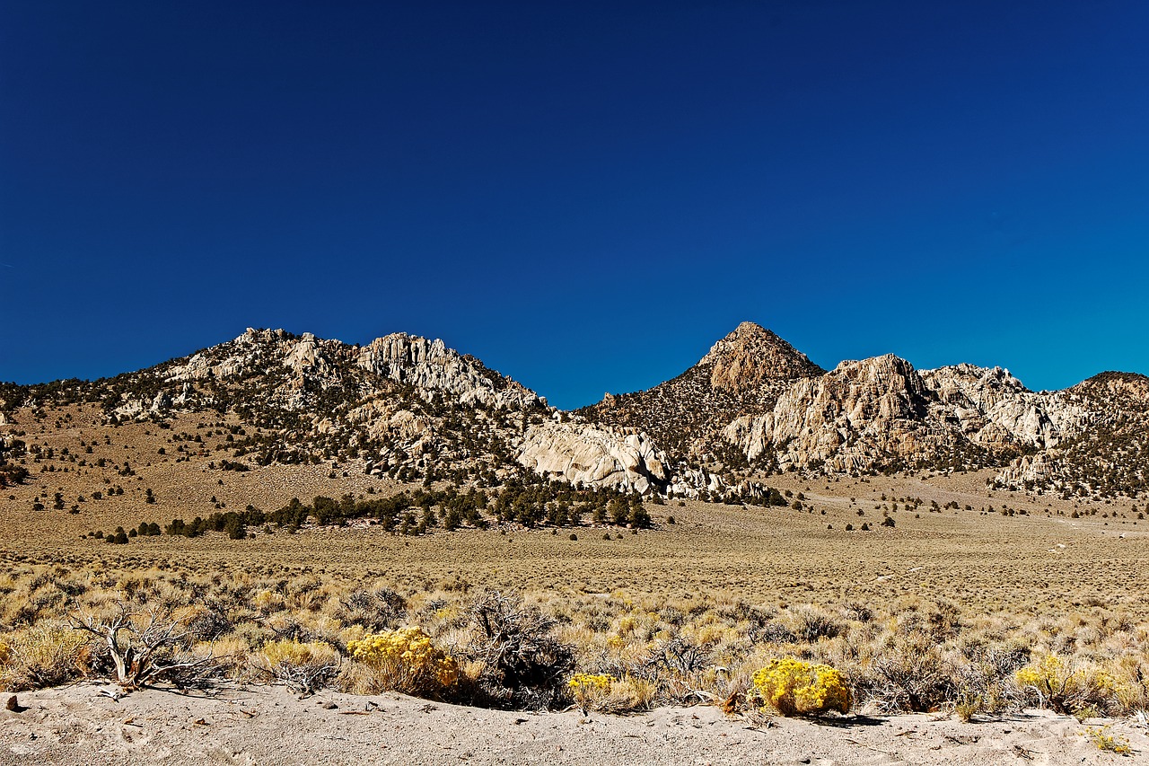 desert landscape california free photo