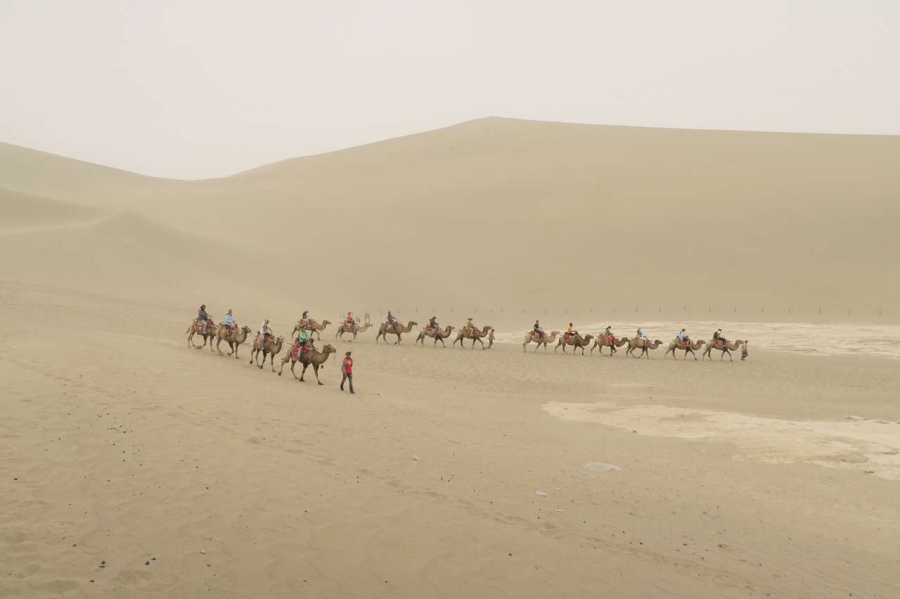 desert mingsha caravans free photo