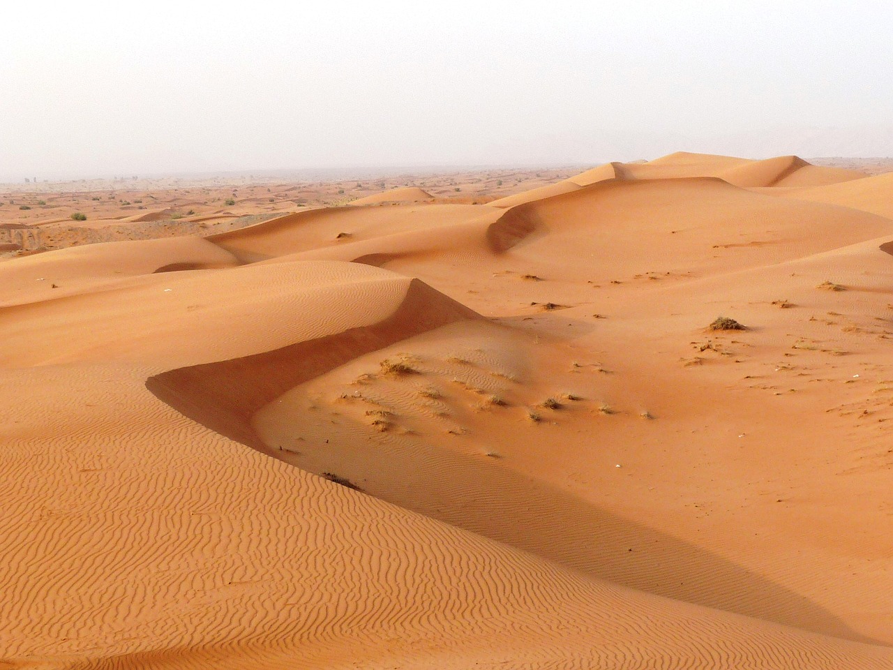 desert sand dune free photo
