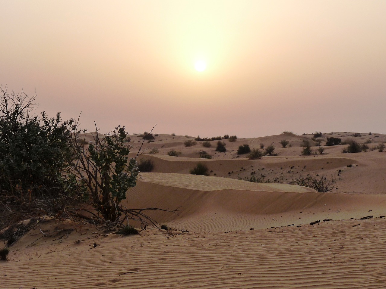 desert sunset heat free photo