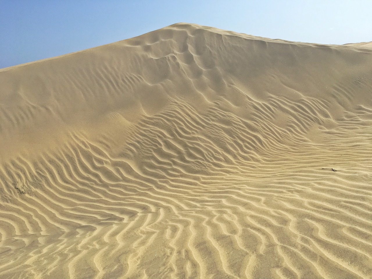 desert sand dune sand free photo