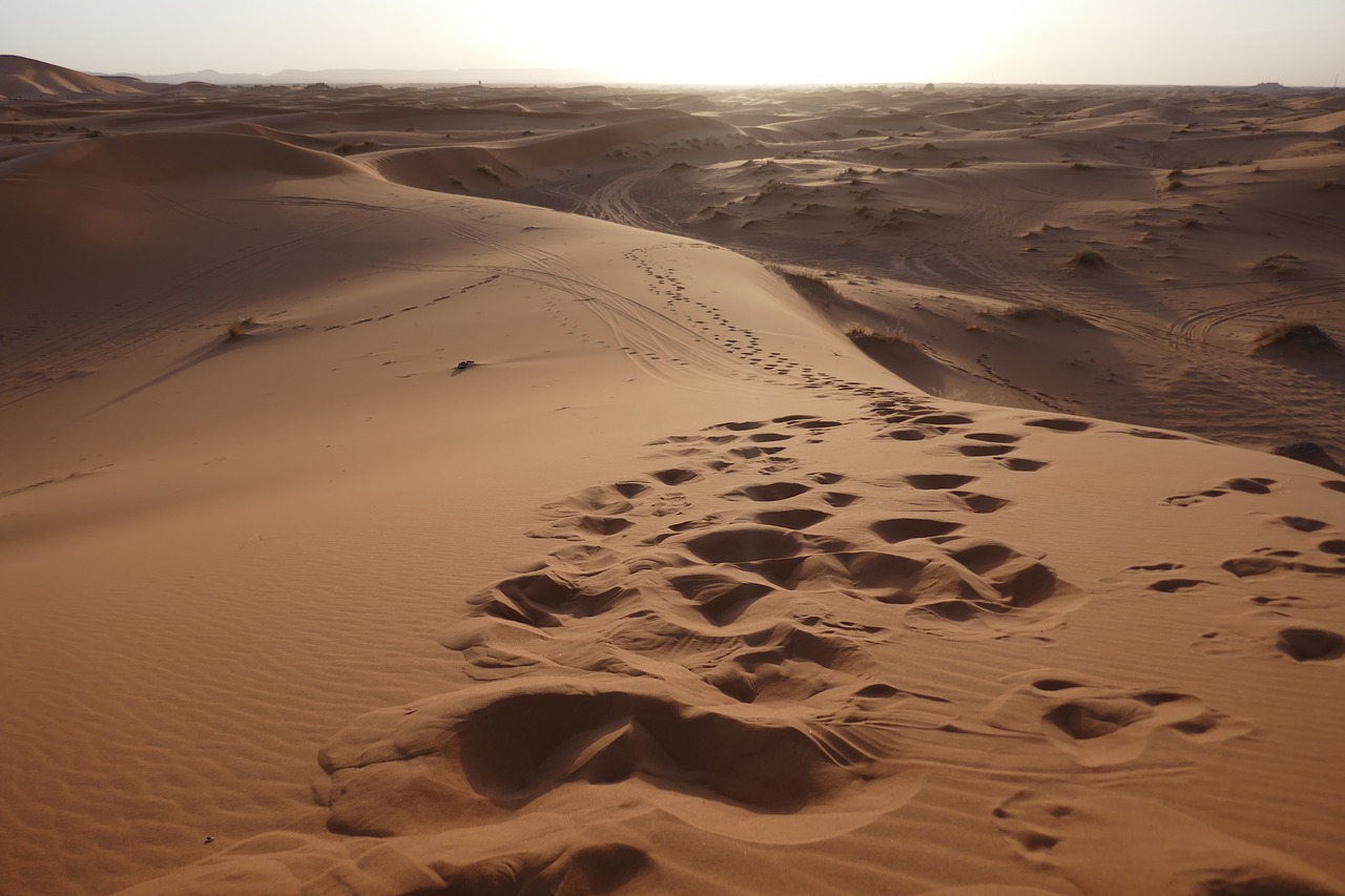 desert morocco sunset free photo