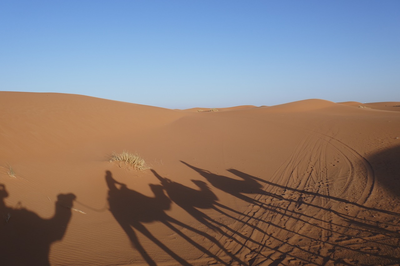 desert shadow sand free photo