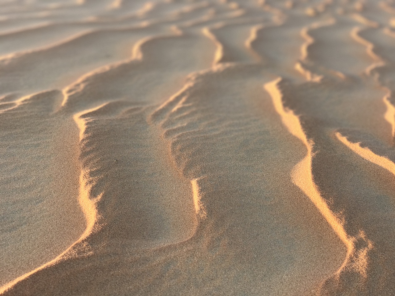 desert sand scenic free photo