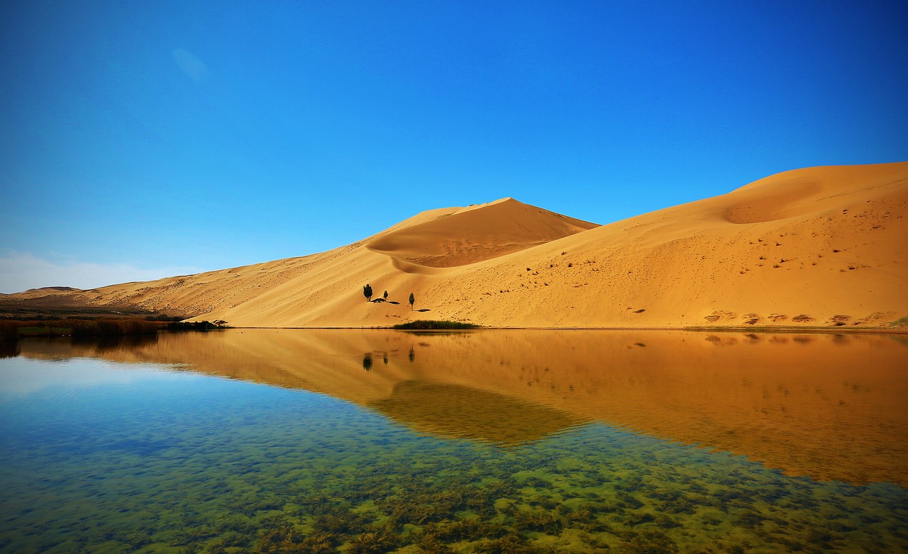 desert the scenery natural free photo