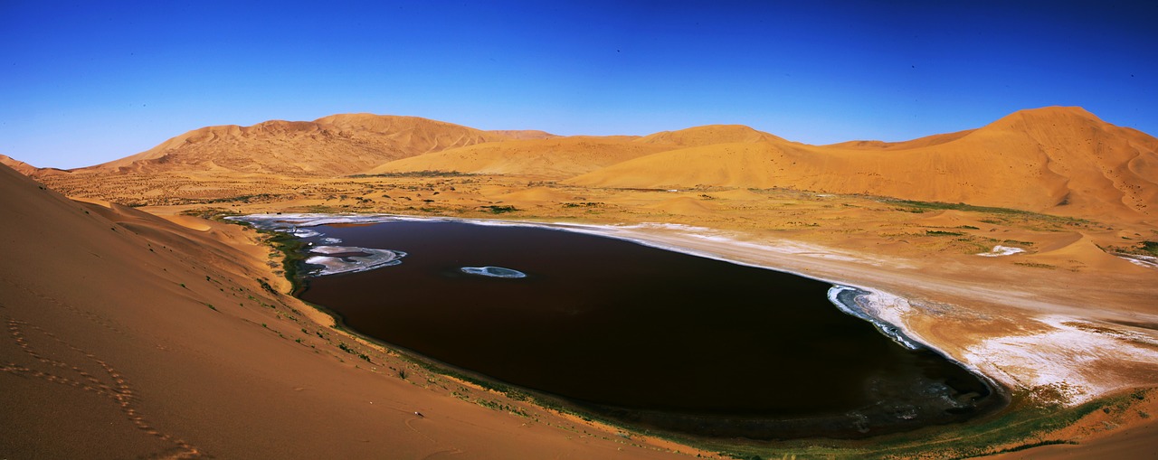 desert the scenery natural free photo