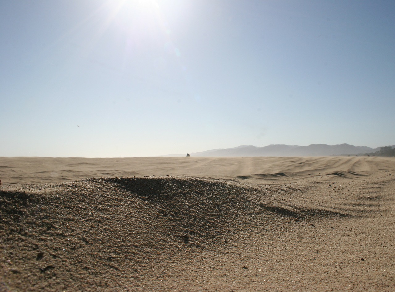 desert dry sahara free photo