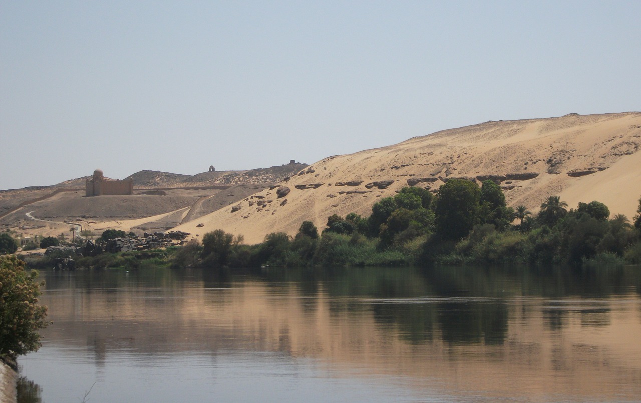 desert river bank trees sand free photo