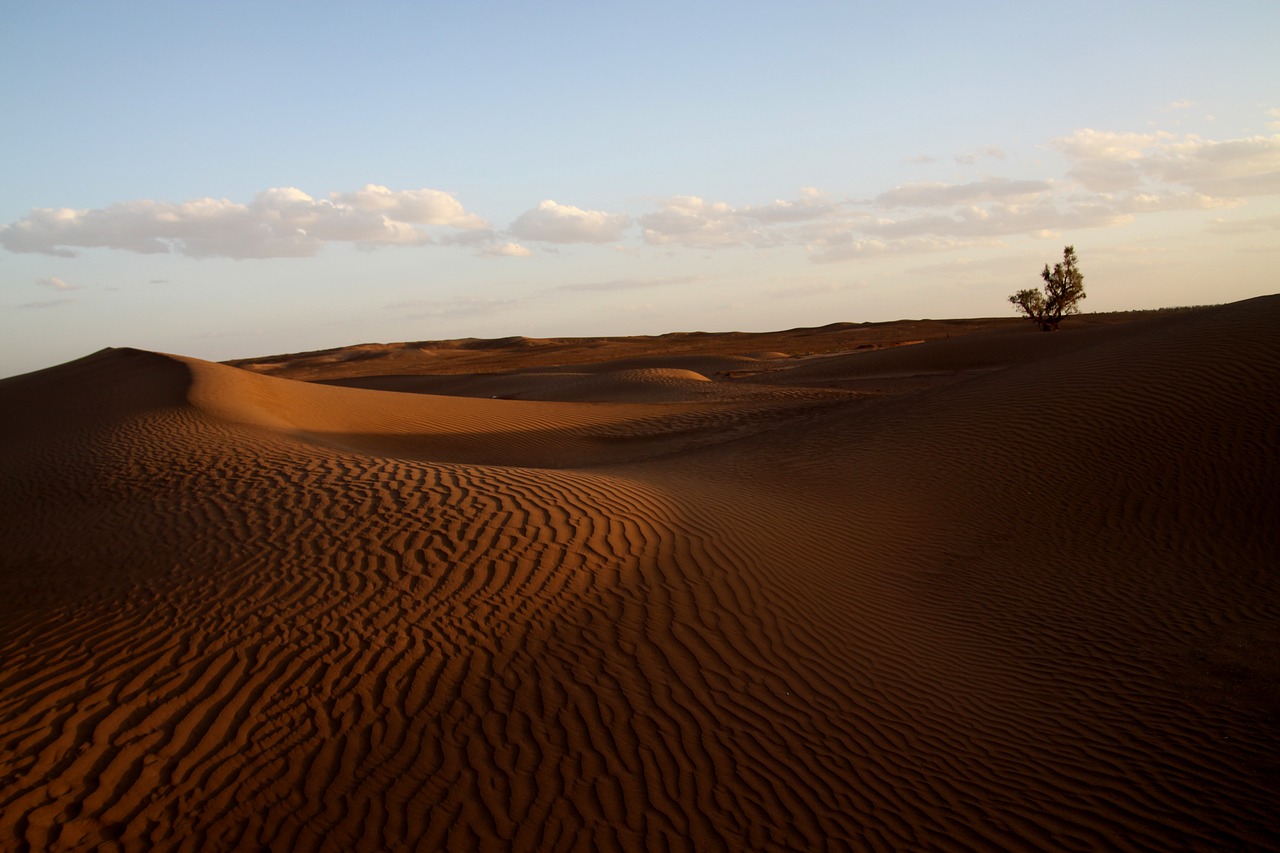 desert morocco africa free photo