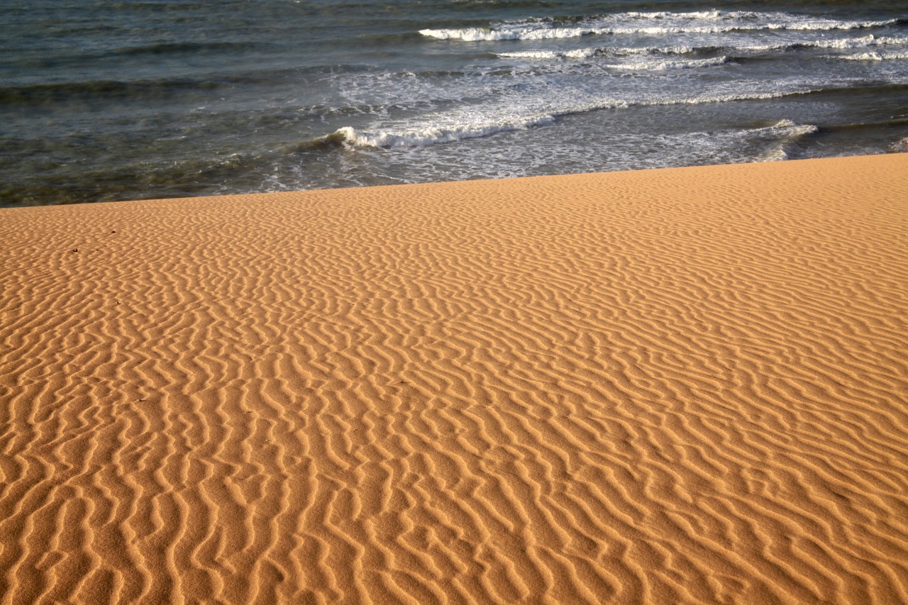 desert guajira sand free photo