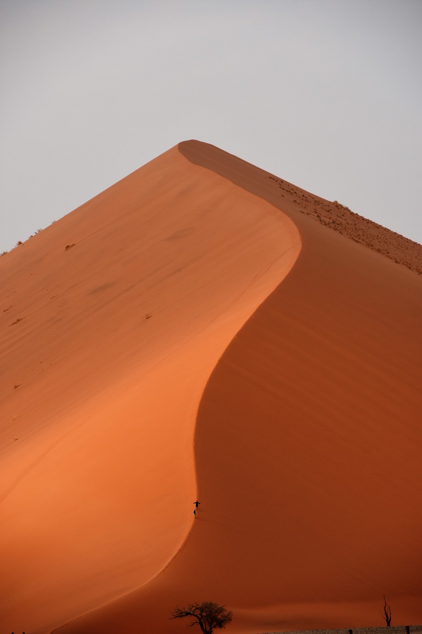 desert dune sossusvlei free photo