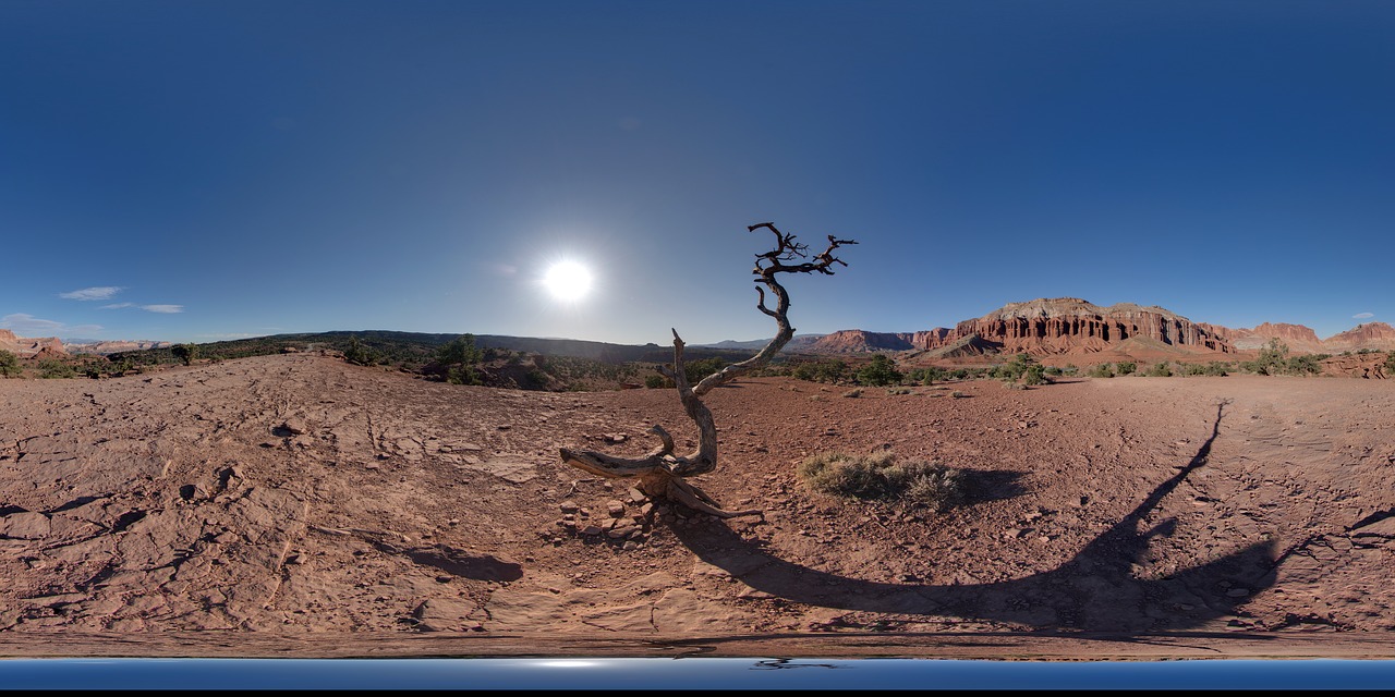 desert landscape nature free photo