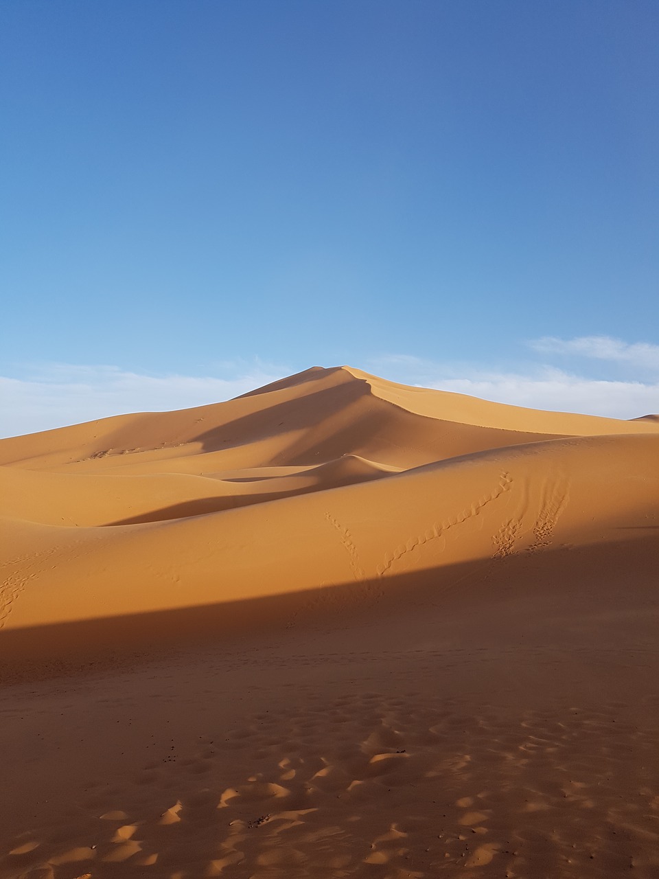 desert sand dune free photo