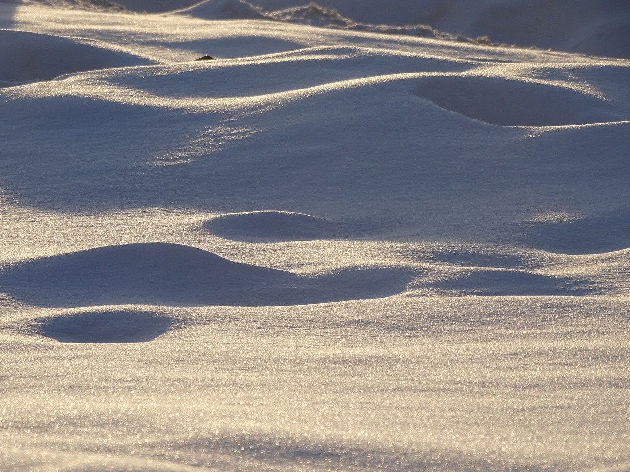 desert sand landscape free photo