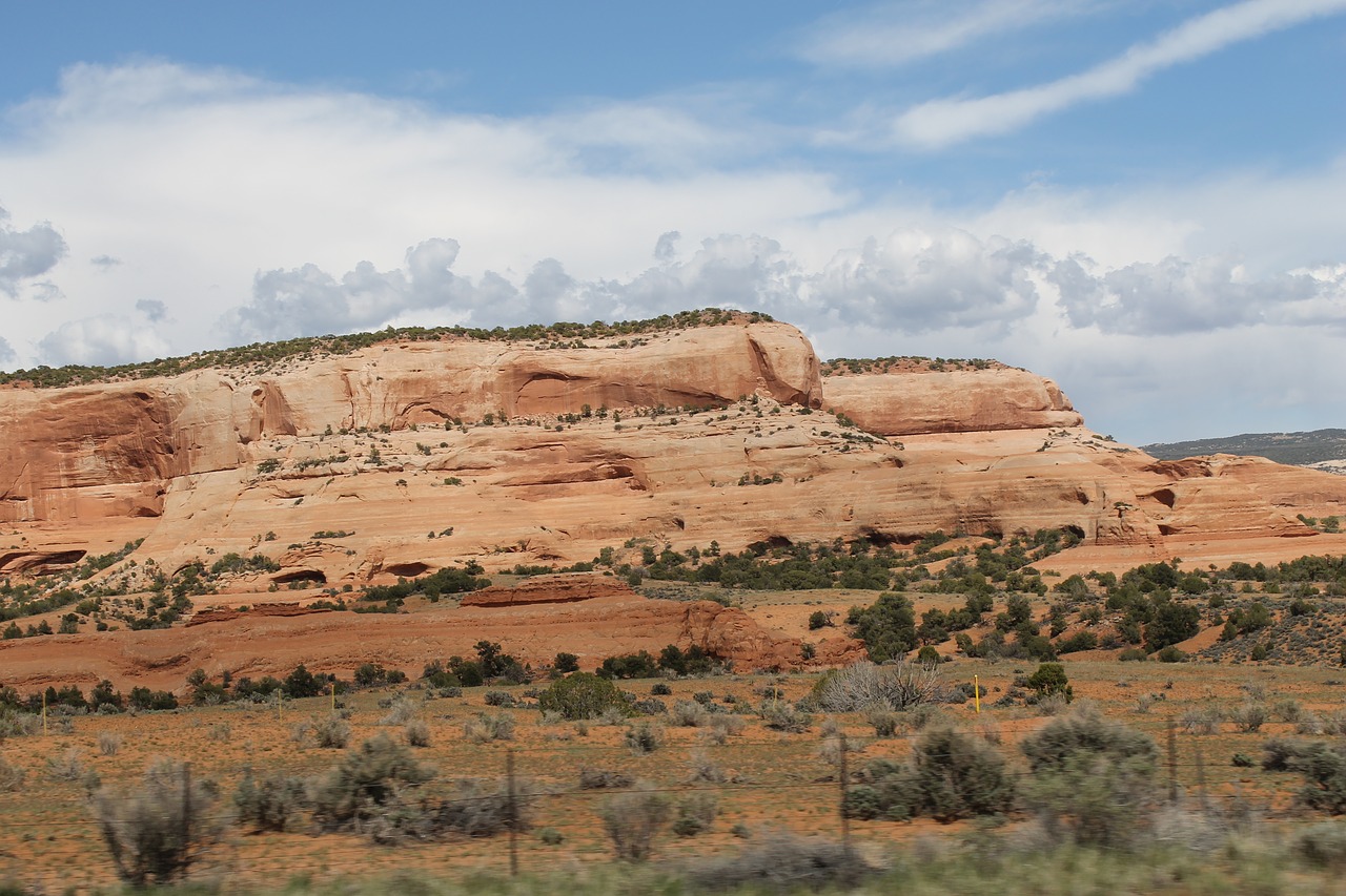 desert  landscape  dry free photo