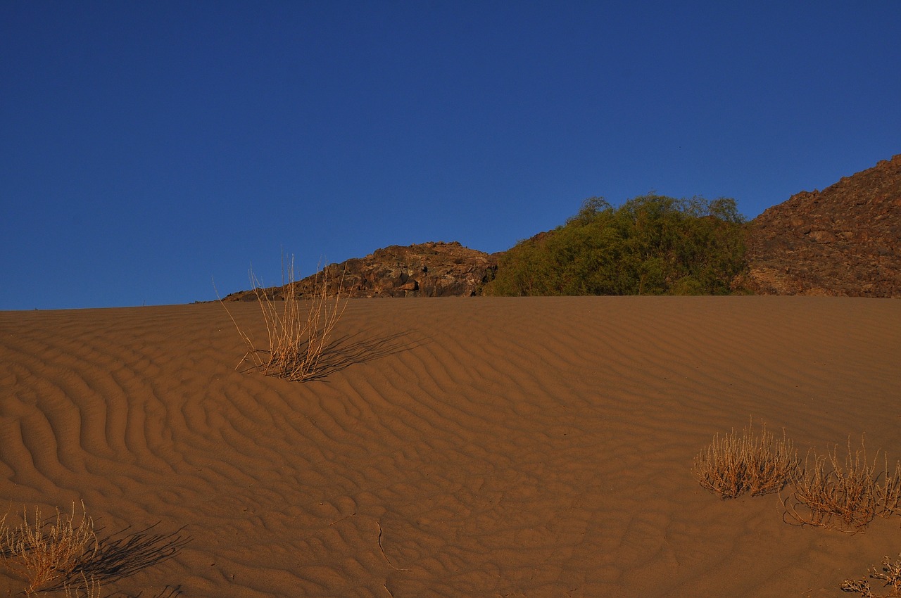 desert  arid  sand free photo