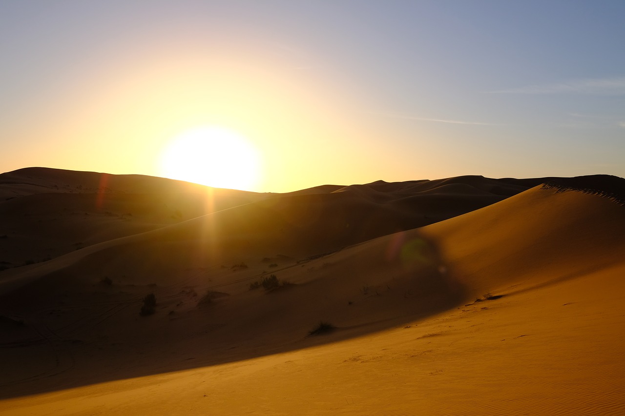 desert  sunset  dawn free photo