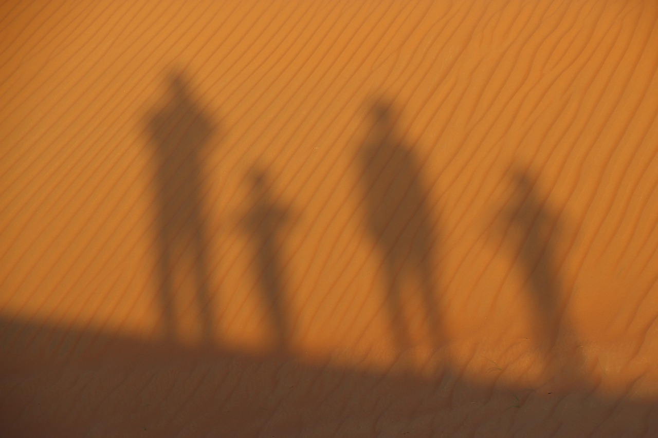 desert  sand  silhuette free photo
