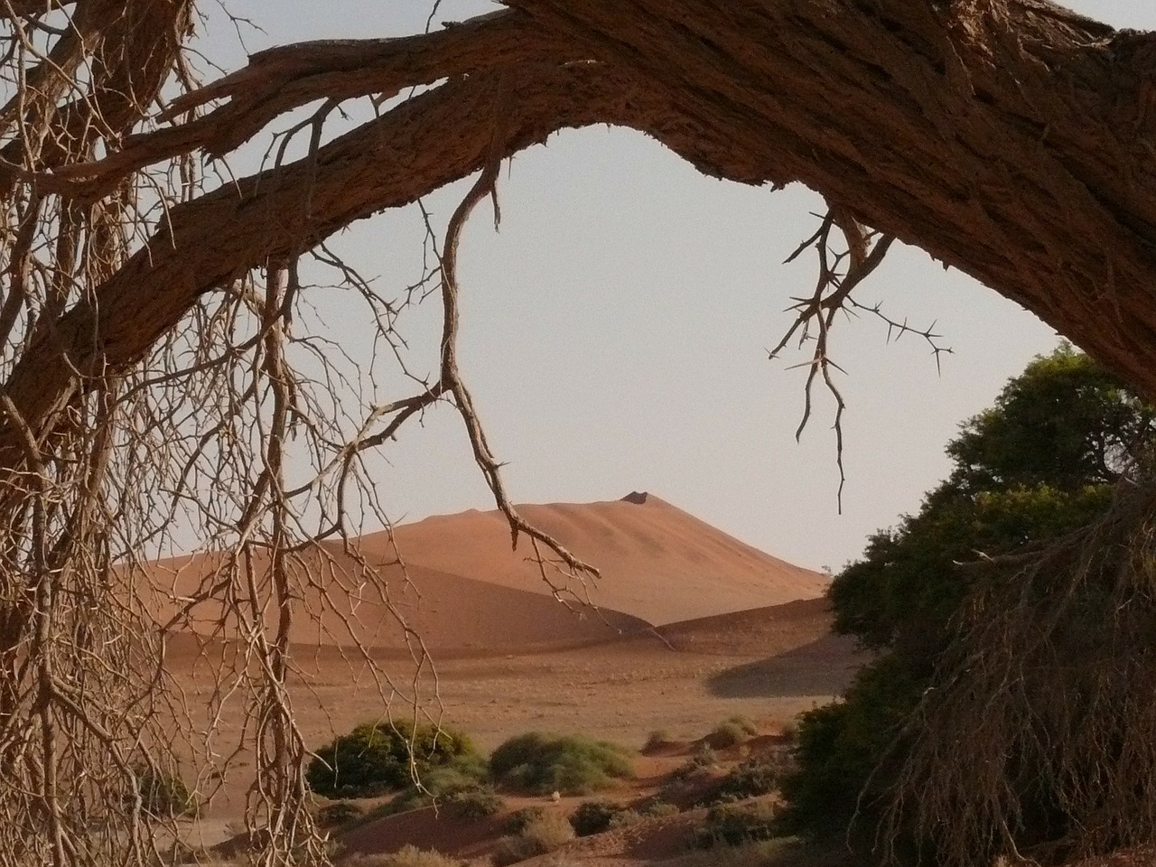 desert sahara namibia free photo