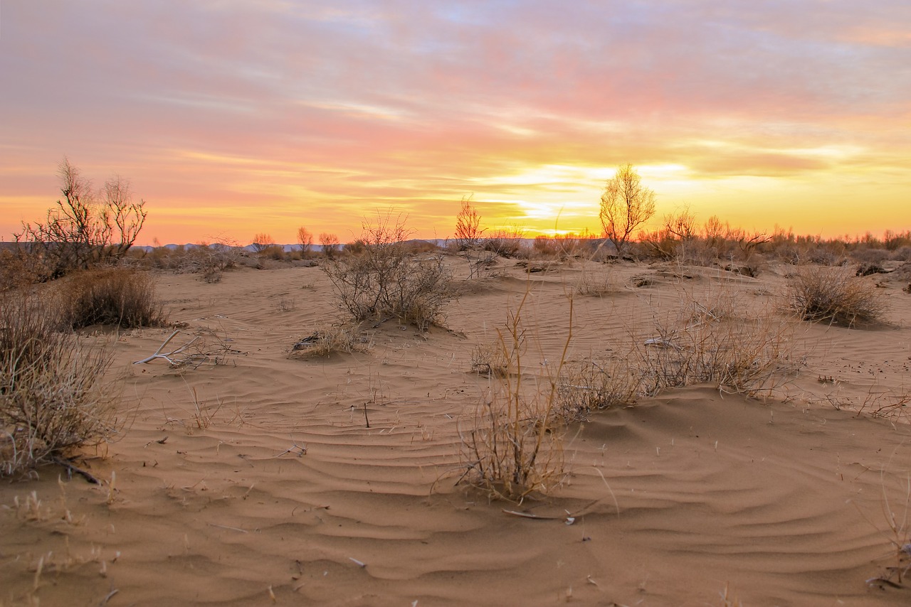 desert  sand  yellow sand free photo