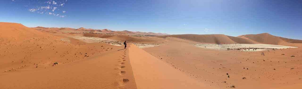 desert  namibia  africa free photo