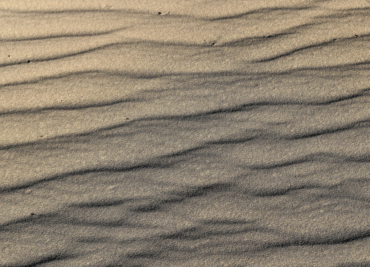 desert  sand  ripples free photo