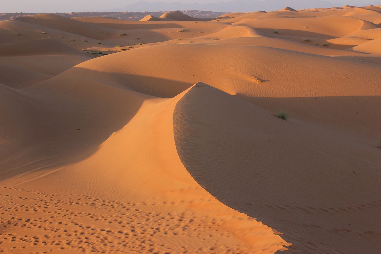 desert  shadow  sand free photo