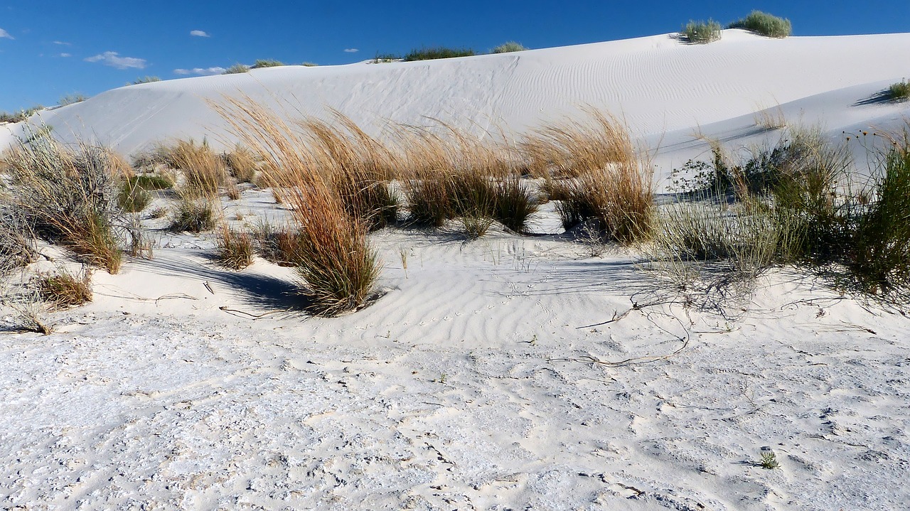 desert  sand  nature free photo