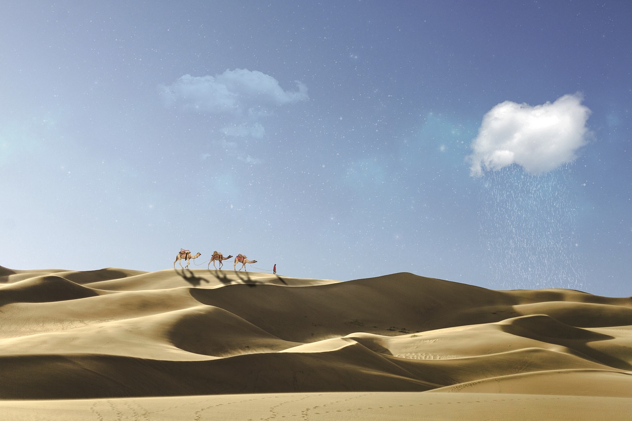 Небо караван. Караван в пустыне. Пустыня вид сверху. Пустыня ночью. Верблюд в пустыне.