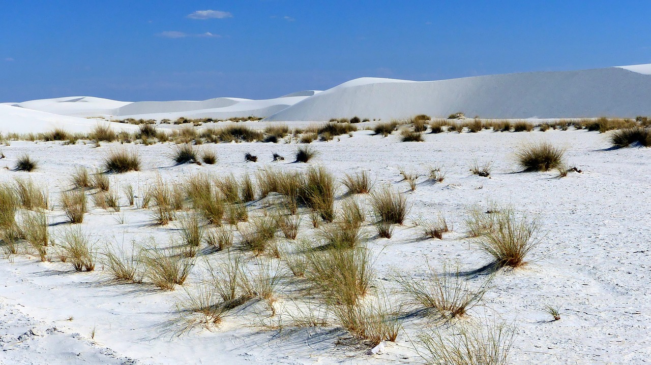 desert  dunes  sands free photo