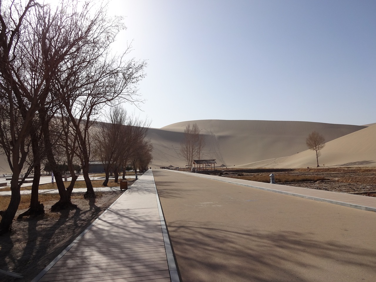 desert  dunhuang  mingsha free photo